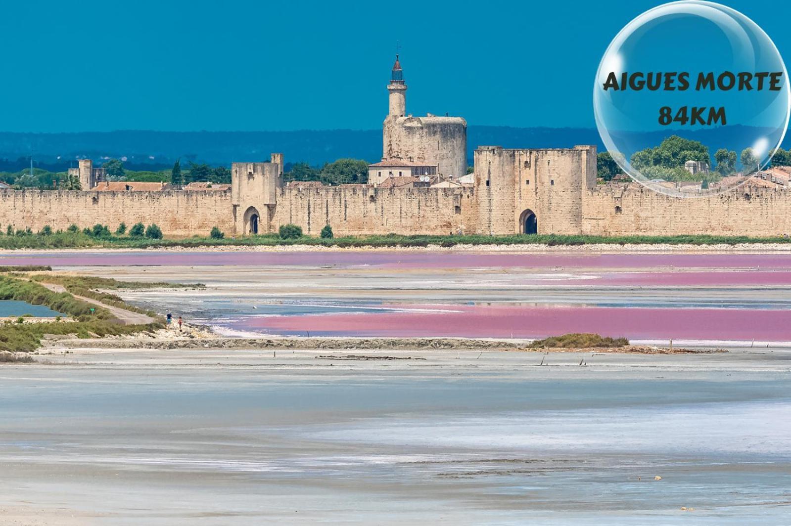 Le Cosy Du Gal, A 2 Pas Du Palais Des Papes Parking Gratuit Securise Avignon Exterior foto