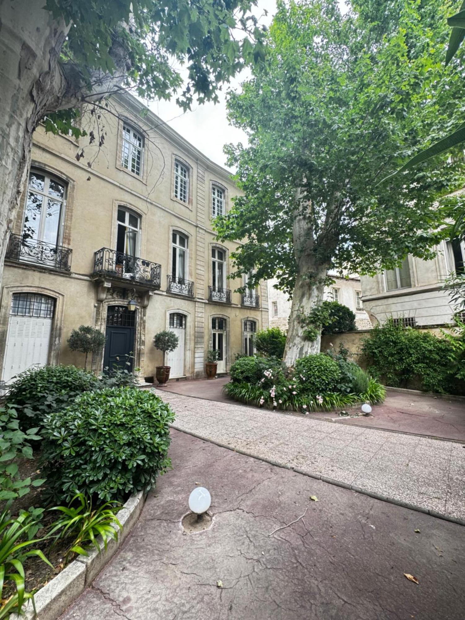 Le Cosy Du Gal, A 2 Pas Du Palais Des Papes Parking Gratuit Securise Avignon Exterior foto