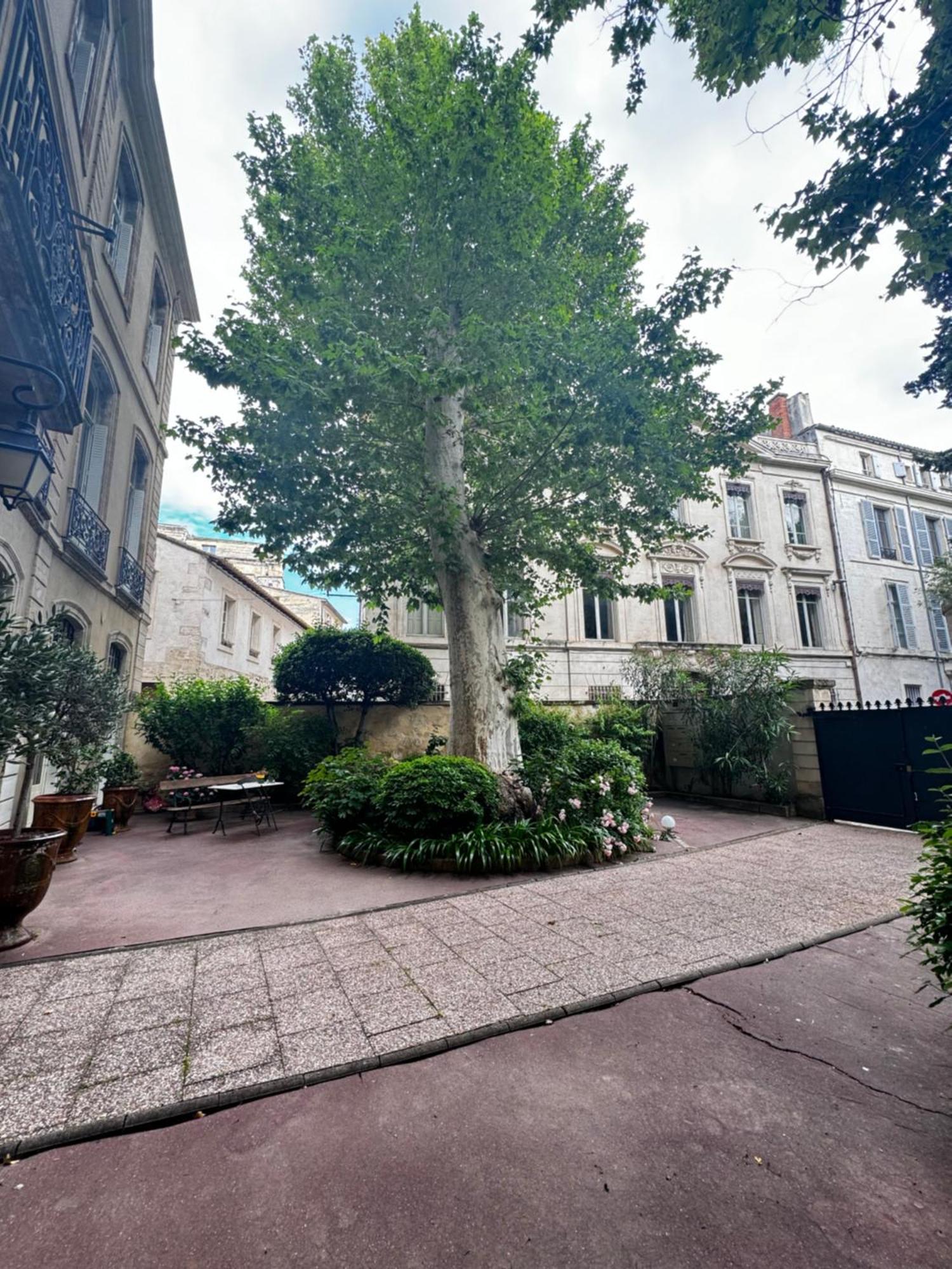 Le Cosy Du Gal, A 2 Pas Du Palais Des Papes Parking Gratuit Securise Avignon Exterior foto